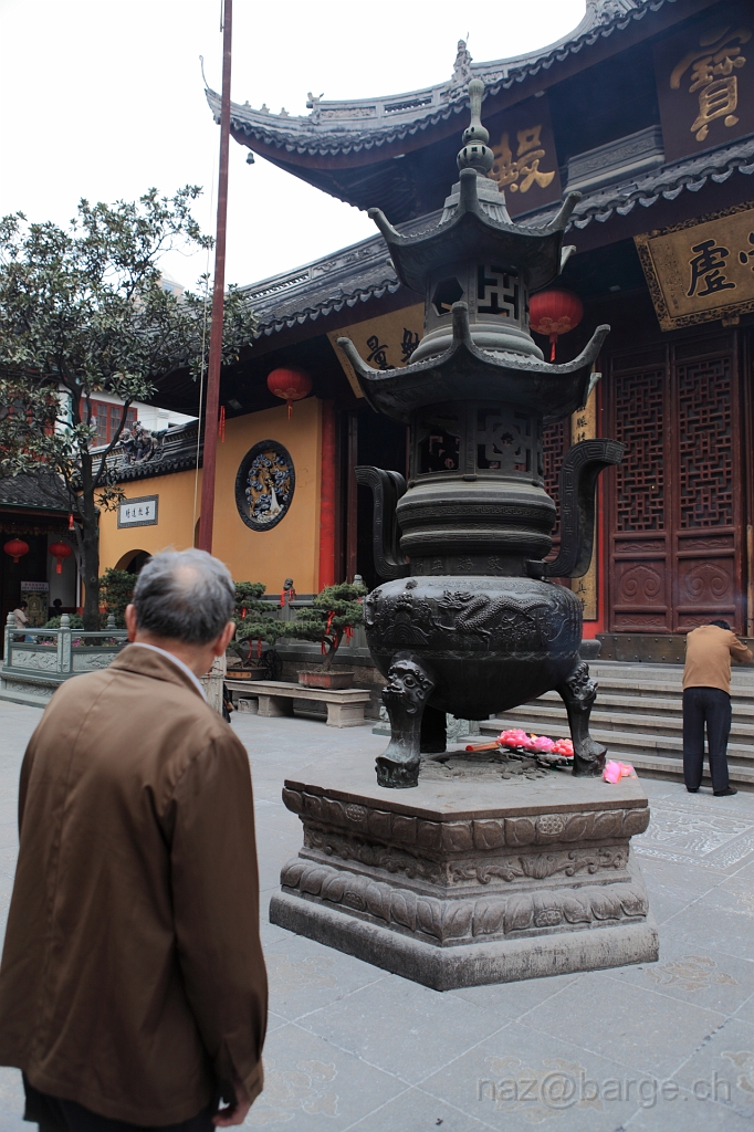 EOS 5D Mark II16_04_20134905.JPG